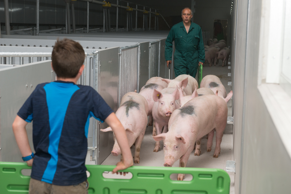 Aankomst eerste fokzeugen BioVar.be