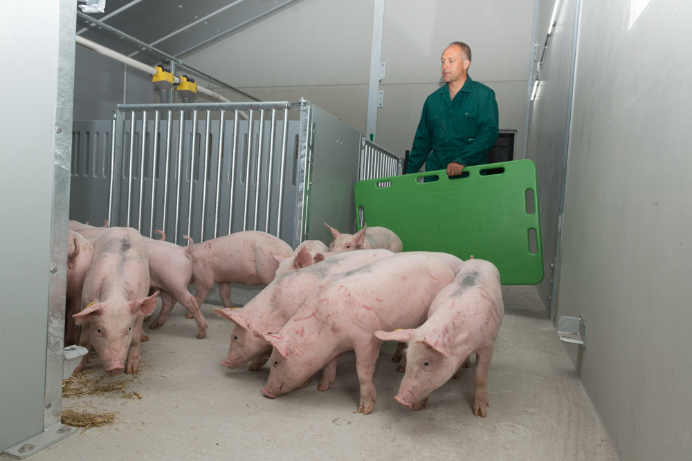 Aankomst eerste fokzeugen BioVar.be