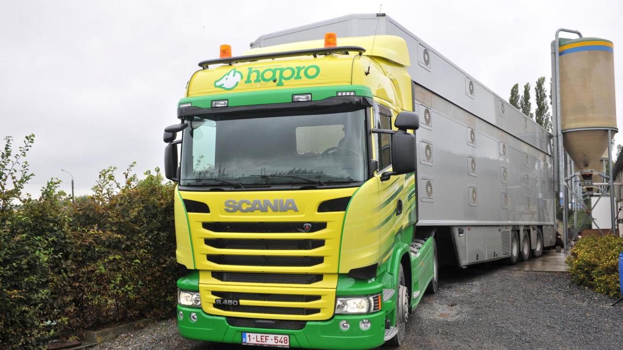 Varkenstransport