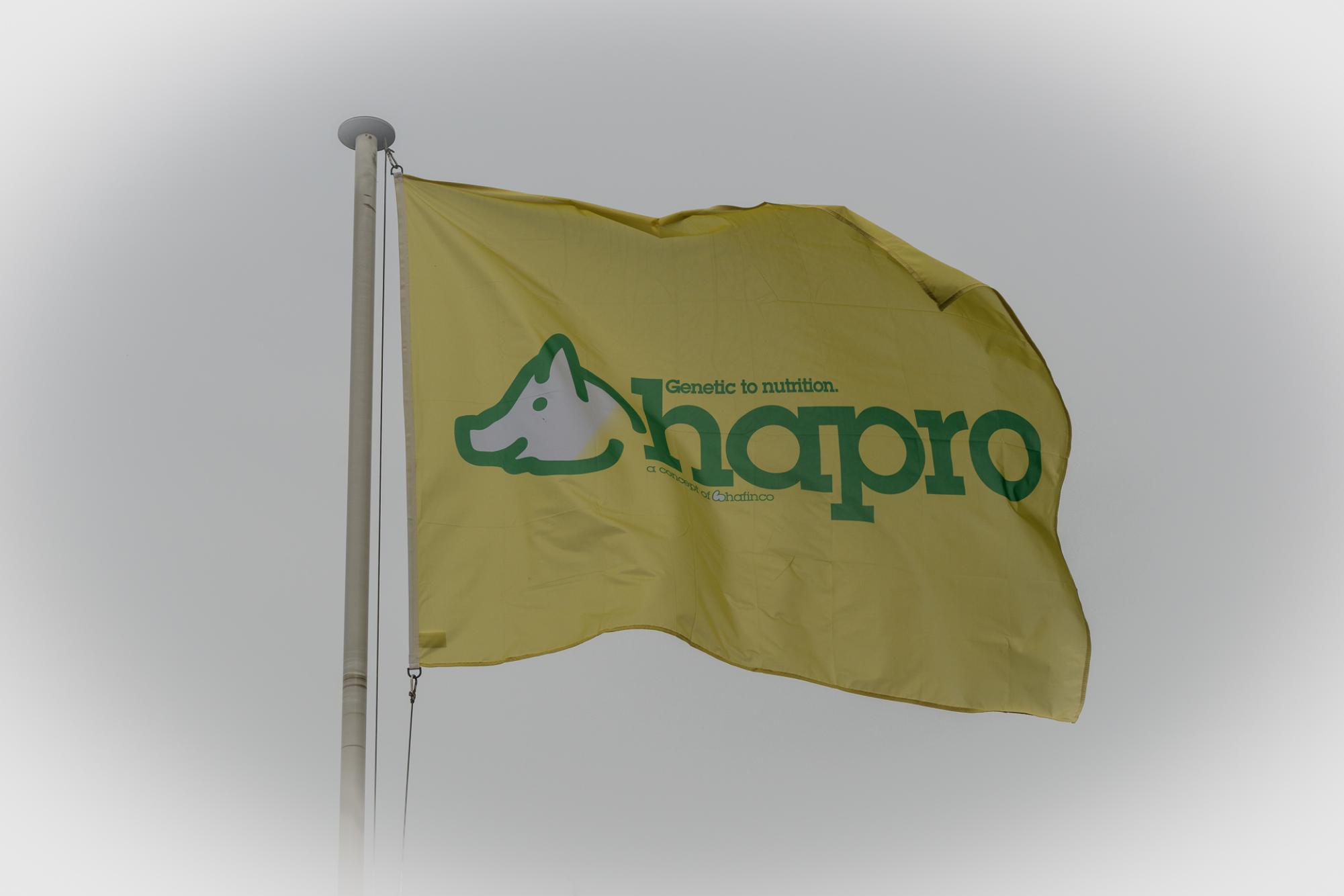 vlag